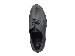 MEPHISTO Falco